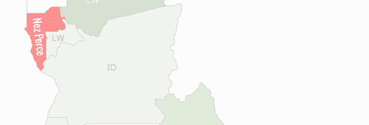 Nez Perce County Map