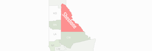 Shoshone County Map